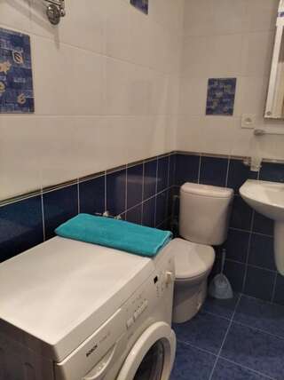 Апартаменты Royal Apartment On Bazhanova 11 A Харьков Апартаменты с 1 спальней-30